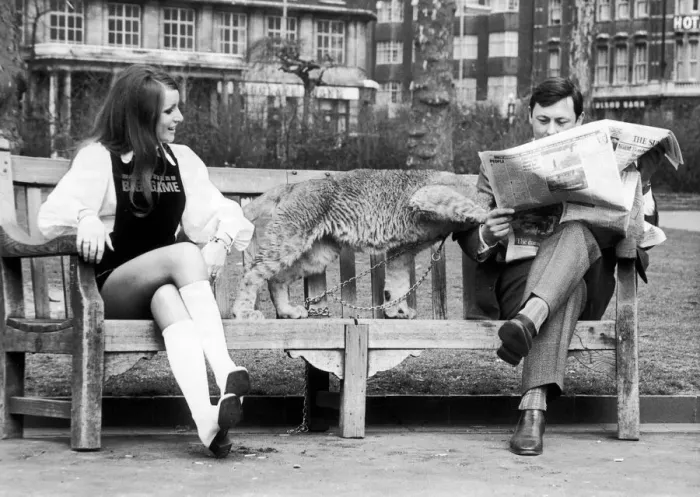 Framed Print : John reads on. Sales representative John Stonehouse just wants to read his Sunday paper