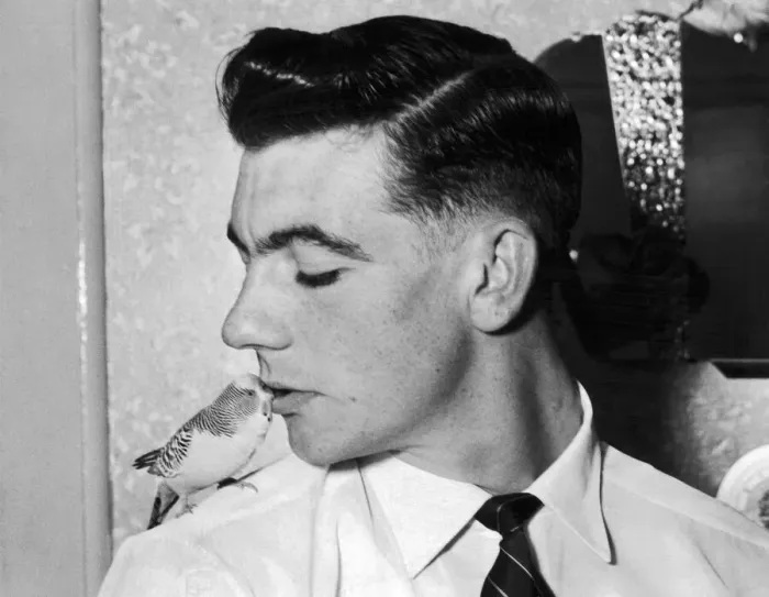 Framed Print : Johnny Haynes of Fulham FC with his pet Budgie Bimbo 16th October 1955