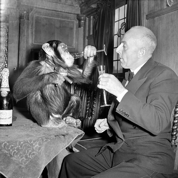 Joly, the film star chimp. Seen here enjoying a drink with his trainer. January 1957