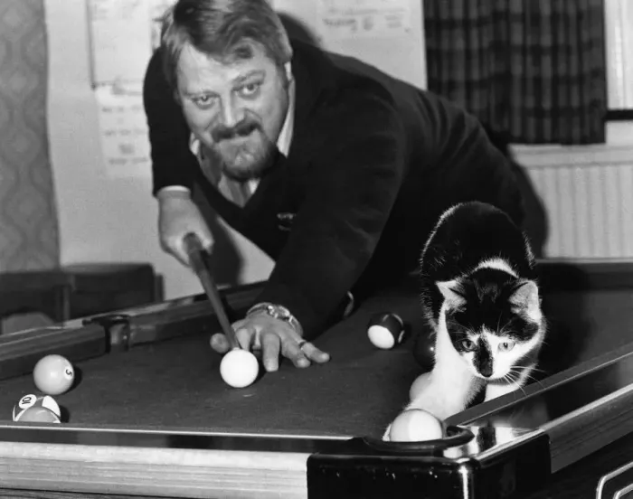 Framed Print : Judd the cat playing pool with landlord Brian Nevin at the pub in Eckington, Derbyshire Framed Print : Judd the cat playing pool with landlord Brian Nevin at the pub in Eckington, Derbyshire