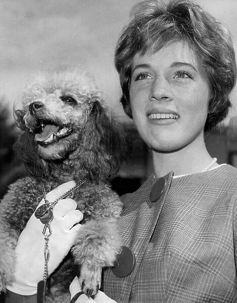 Julie Andrews holding pet poodle - August 1960