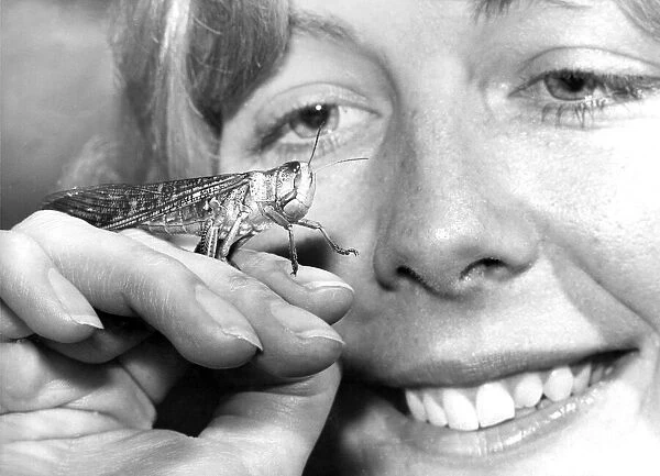 Julie Donkin with one of the locusts she has been studying in the Durham University