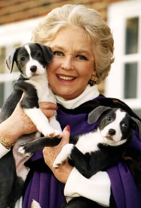 Framed Print : Katie Boyle with Two new arrivals at the RSPCA centre at Sandridge Potters Bar Framed Print : Katie Boyle with Two new arrivals at the RSPCA centre at Sandridge Potters Bar