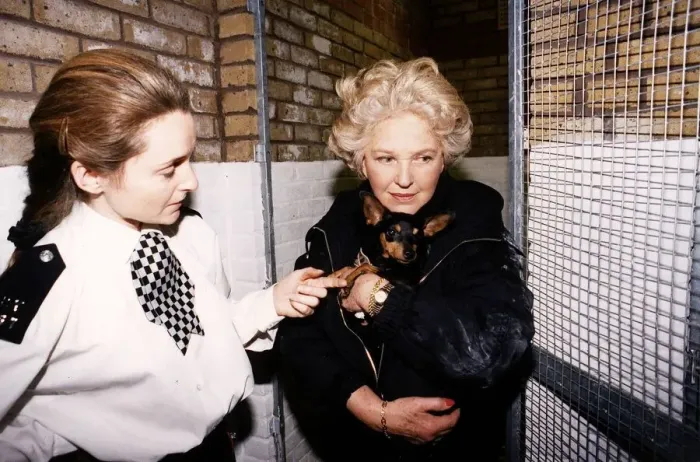 Framed Print : Katie Boyle television presenter carries a small dog into police pound for strays Framed Print : Katie Boyle television presenter carries a small dog into police pound for strays