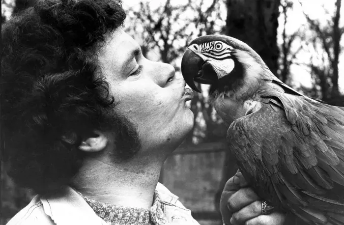 Framed Print : Keeper Peter Beard with jackie the macaw at Lambton Pleasure Park in January 1980