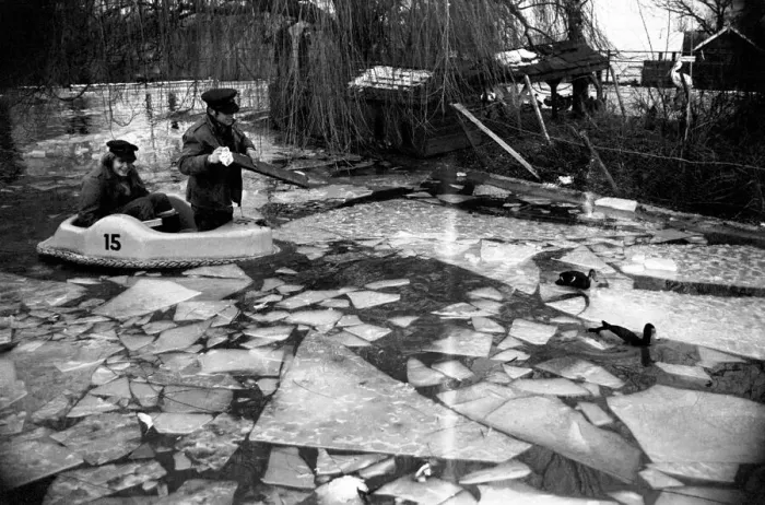Framed Print : Keepers at Chessington Zoo chip the ice on the storks and ducks pond Framed Print : Keepers at Chessington Zoo chip the ice on the storks and ducks pond