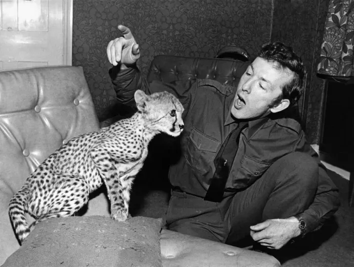 Framed Print : Keeping spirits high curator Francis Rendell sings a song to Solo the cheetah