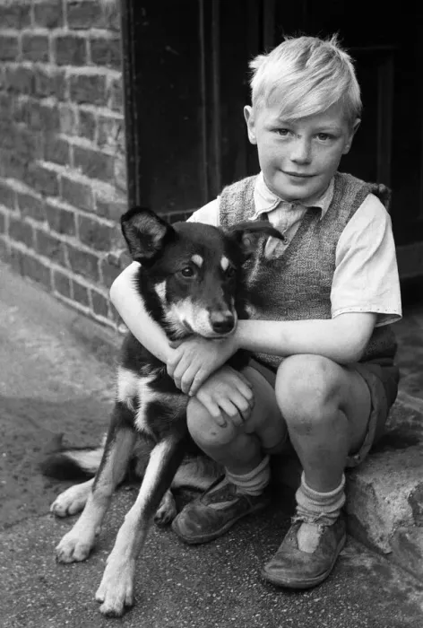 Framed Print : Kenneth Griffiths, pictured at home with Lassie, the dog he took with him on his Framed Print : Kenneth Griffiths, pictured at home with Lassie, the dog he took with him on his