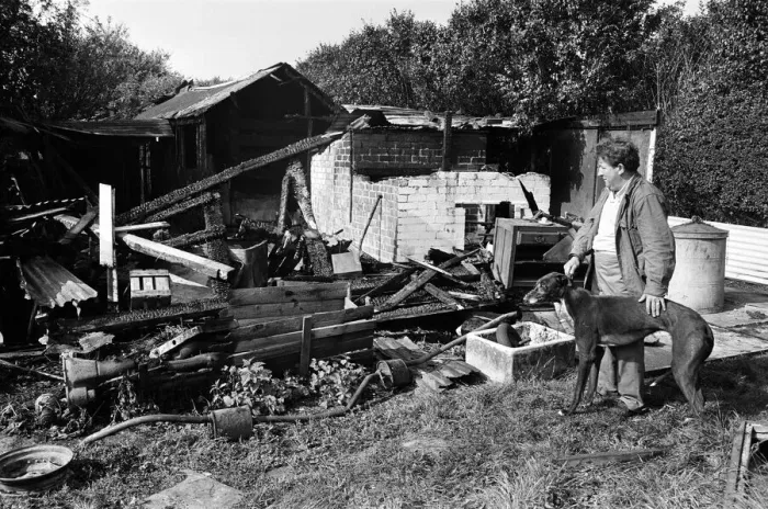 Framed Print : Kenneth Lee, with a rescued greyhound, looking at the damage caused by a fire at his Framed Print : Kenneth Lee, with a rescued greyhound, looking at the damage caused by a fire at his