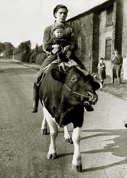 Kenneth Mason takes neighbour Paul Raby (3) for a ride on William the pedigree Friesian