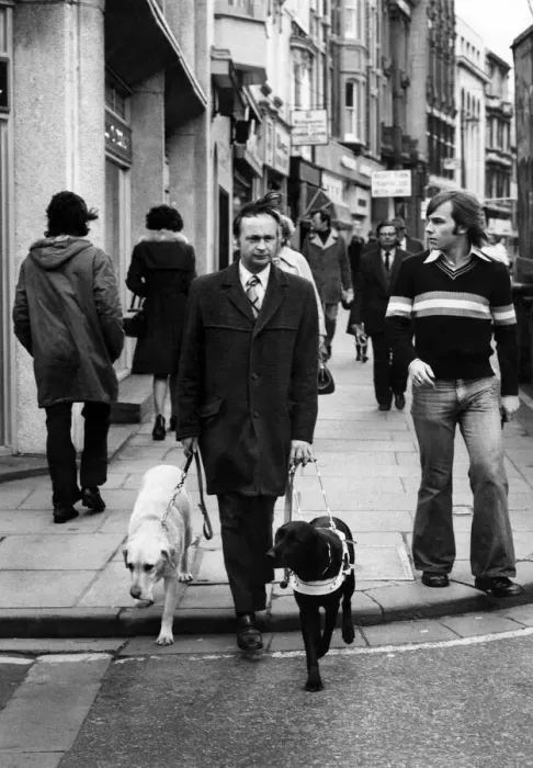 Framed Print : Kens guide dog was blind. Not once did the faithful old guide dog put a paw wrong as Framed Print : Kens guide dog was blind. Not once did the faithful old guide dog put a paw wrong as