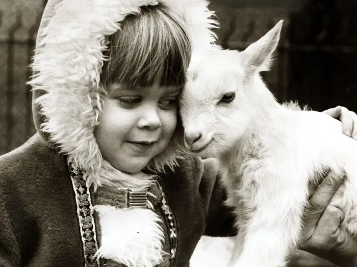 Framed Print : Kid meets kid. Its an instant friendship for four year old Amanda Tennant Framed Print : Kid meets kid. Its an instant friendship for four year old Amanda Tennant