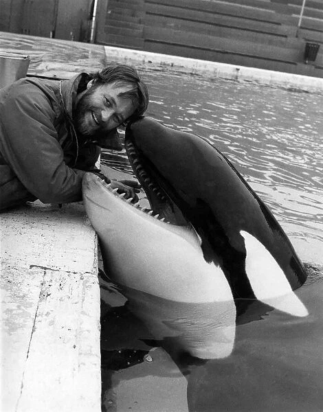 Killer Whale: So friendly Trainer Peter Bloom with Nemo. February 1985 P006482