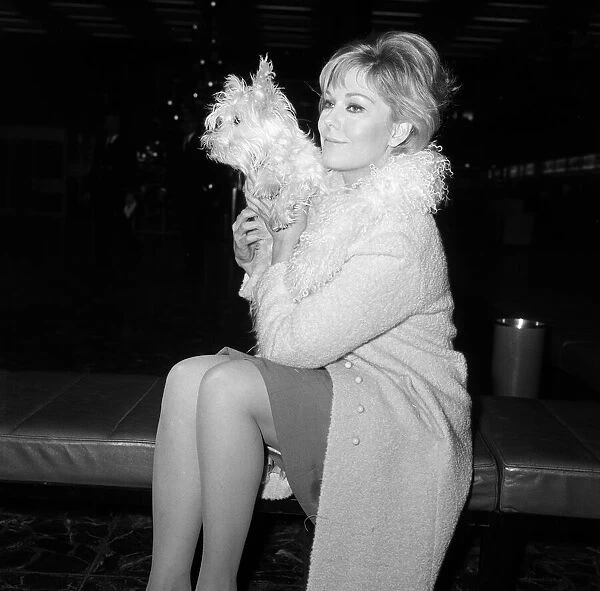 Kim Novak leaving London Airport for America with her dog Chilham