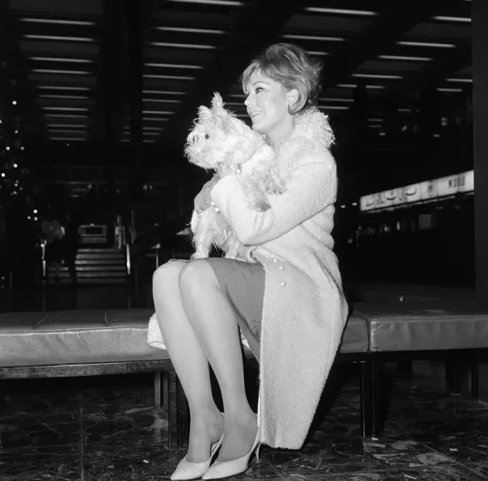 Framed Print : Kim Novak leaving London Airport for America with her dog Chilham Framed Print : Kim Novak leaving London Airport for America with her dog Chilham