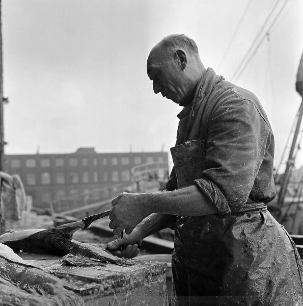 King George Dock, Hull. Mr Harry Kelsey (51) in the fishing docks. March 1965