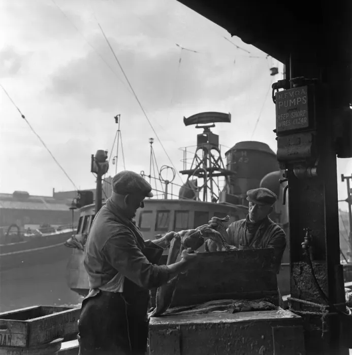 Framed Print : King George Dock, Hull. Mr Harry Kelsey (51, right) and Mr J Watson (49, left) Framed Print : King George Dock, Hull. Mr Harry Kelsey (51, right) and Mr J Watson (49, left)