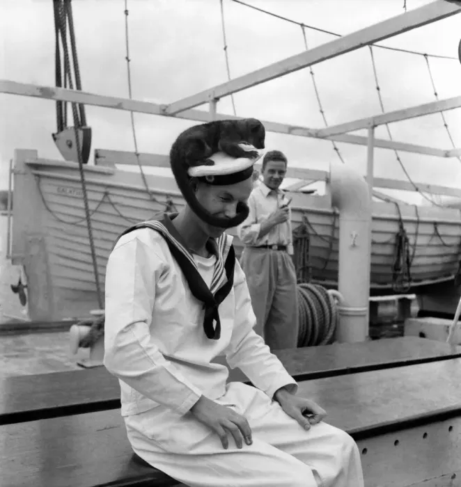 Framed Print : Kinkajou the monkey seen here with a Danish Sailor. June 1952 C3123