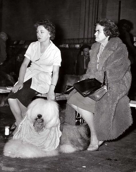 Ladies Kennel Club show at Olympia, london. Miss Ann Lloyd