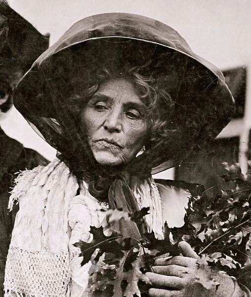 Lady Claflin Cook circa 1910 Suffragette benefactor patron - She has stated that