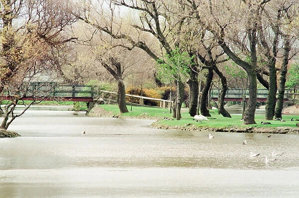 Lake at Locke Park, Redcar, 25th April 1994