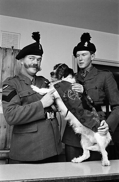 Lance corporal Paddy was promoted Sgt. Paddy, when he was collected