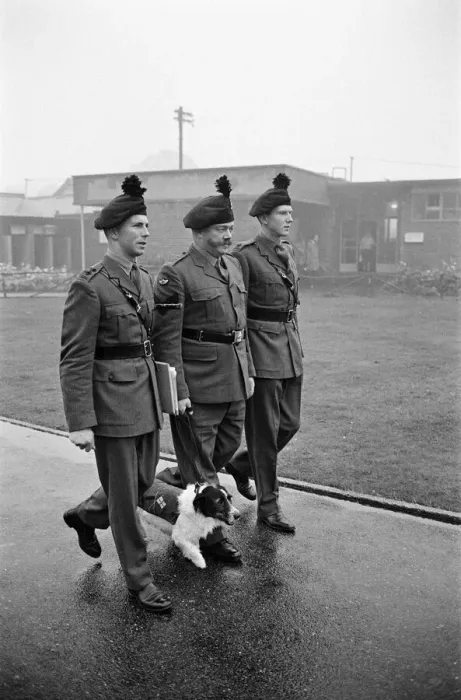 Framed Print : Lance corporal Paddy was promoted Sgt. Paddy, when he was collected Framed Print : Lance corporal Paddy was promoted Sgt. Paddy, when he was collected