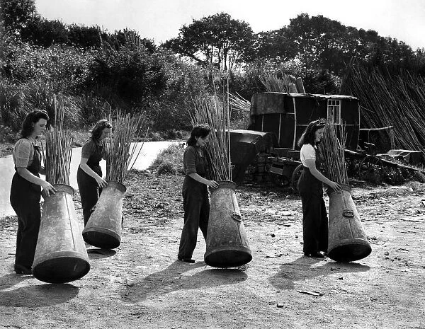 Land army girls with barrels of bamboo cane. The leading girl is Amy Holland, aged 20