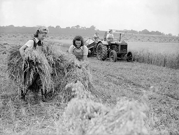 Land Girls Harvesting during WW2 - 1941 Women doing mens jobs during the war