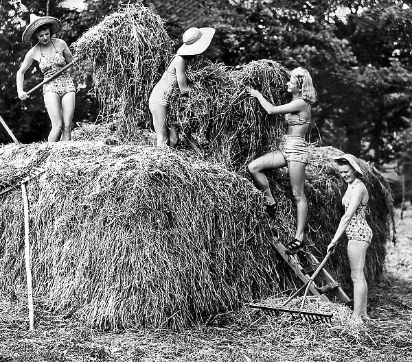 Land girls haymaking wearing swimming costumes as they work circa 1942