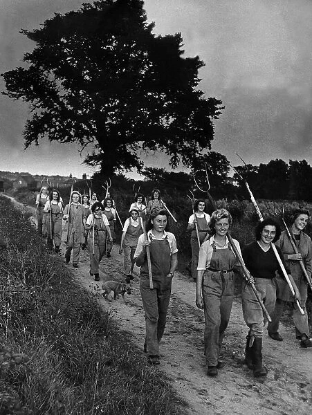 Land girls on their way home from the field in military area East Anglia The harvest has