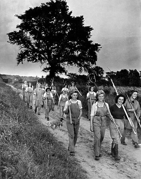 Land girls on their way home from the field in military area East Anglia The crops have