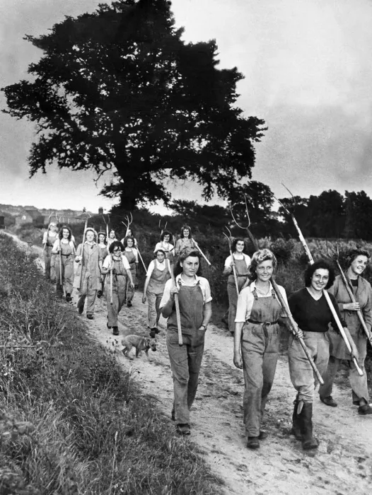 Framed Print : Land girls on their way home from the field in military area East Anglia The crops