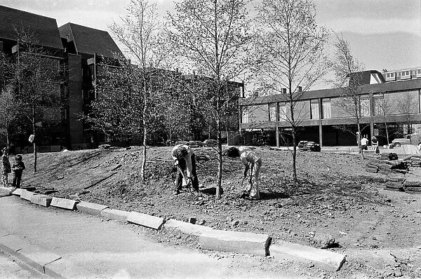 Landscaping at the Civic Centre, Middlesbrough. 1973