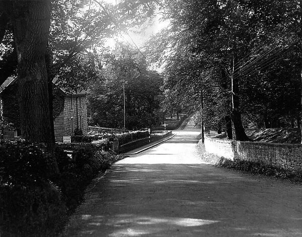 A leafy lane in Stocksfield photographed on 24th September 1938