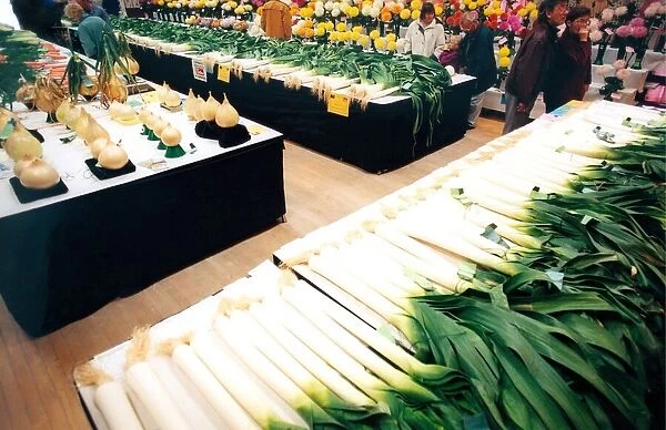 One of the many leek and flower shows that take place in the North East in September 1998