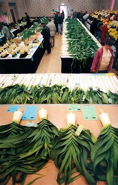 One of the many leek and flower shows that take place in the North East in September 1998