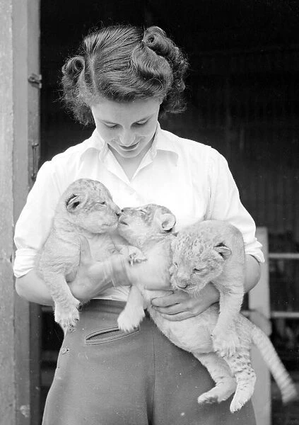 Leopard Cubs with their young female keeper we believe at London Zoo Circa 1957