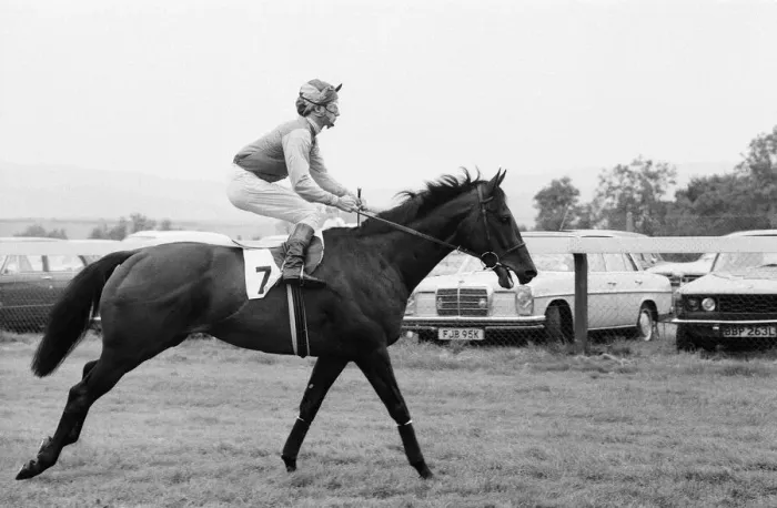 Framed Print : Lester Piggott at Goodwood, Tuesday 27th September 1977. Our Picture Shows Framed Print : Lester Piggott at Goodwood, Tuesday 27th September 1977. Our Picture Shows