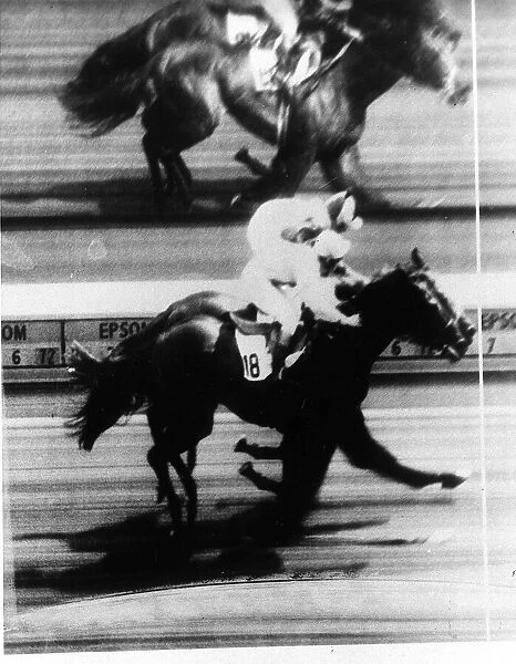 Lester Piggott on Roberto wins The Derby by a nose from Rheingold at Epsom