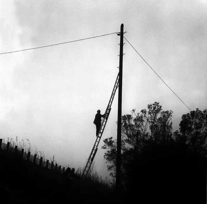 Framed Print : Lib - A cat climbed to the top of the pole on a railway embankment on Shields Road in