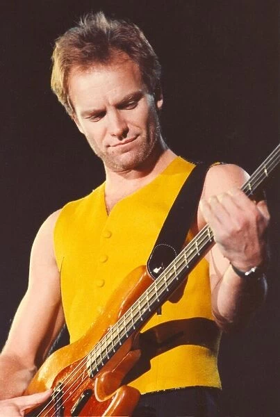 Lib - Singer  /  songwriter Sting in concert at Whitley Bay Ice Rink, 25th November 1991