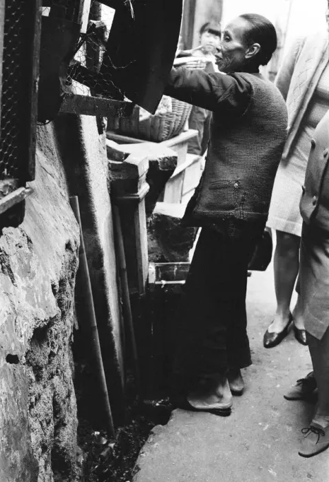 Framed Print : Life in 1960s Colonial Hong Kong, with a rapidly growing population of more than 4 Framed Print : Life in 1960s Colonial Hong Kong, with a rapidly growing population of more than 4
