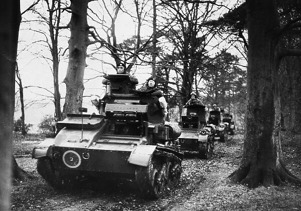Light tanks taking cover in a woods during Second World War. 6th December 1940