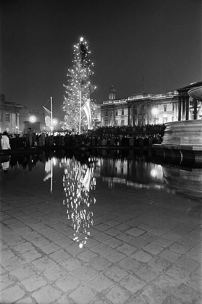 Lights on the Norwegian Christmas Tree in Trafalgar Square. 19th December 1966