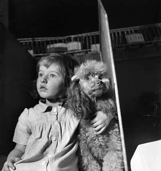 Linda Graham with the Poodle dog. April 1952 C1574