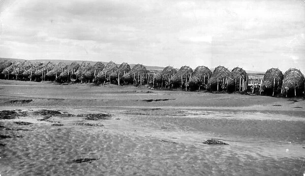 Lines of Putcher fsalmon baskets stretched across the River Severn, circa 1920