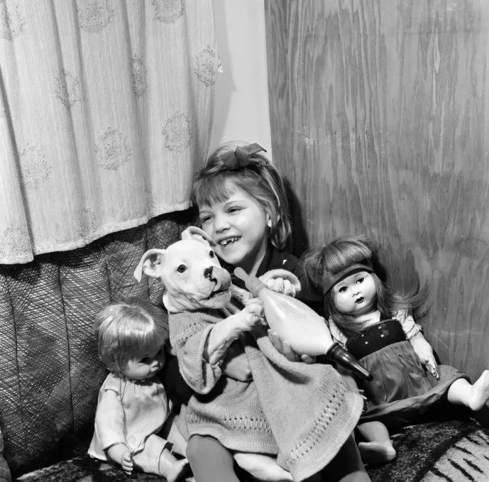 Framed Print : Little Danish girl Tina Dubsky, daughter of Joseph Dubsky who has a comic Bulldog act Framed Print : Little Danish girl Tina Dubsky, daughter of Joseph Dubsky who has a comic Bulldog act