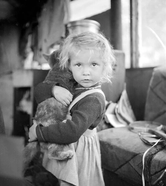 A little girl with her best friend the cat Circa 1962