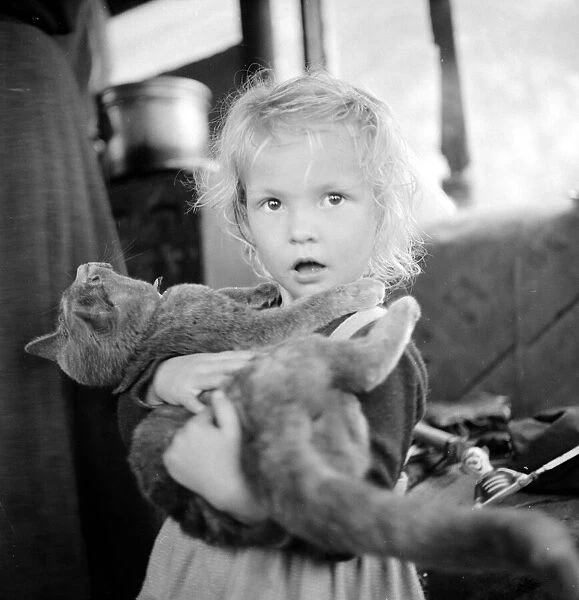 A little girl with her best friend the cat Circa 1963